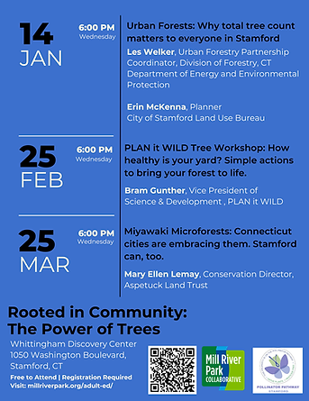 2026 Winter Series (3).png