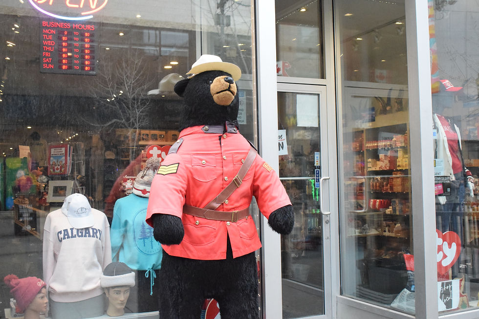 The Calgary Downtown Core