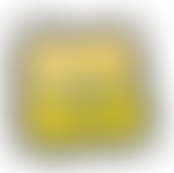 What Camera Should I Buy!