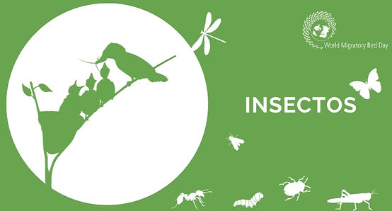 Global Partnersh (43).jpg