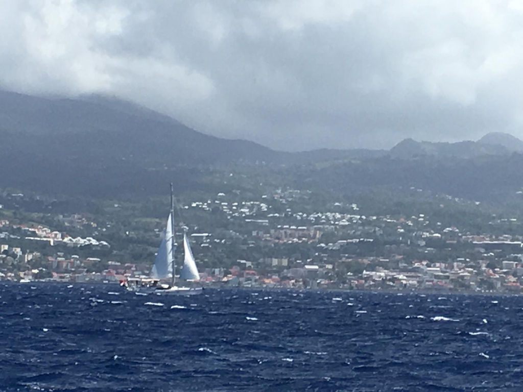 Home SAILING FLORENCE