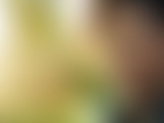 Adaptive Leadership: Thriving in Times of Change