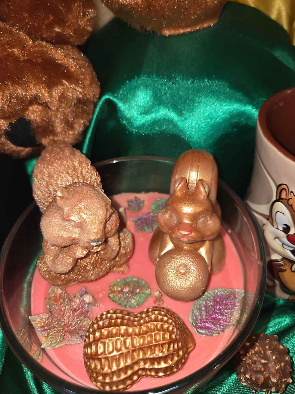 Miniature : Bougie Les frères noisettes 400 grammes