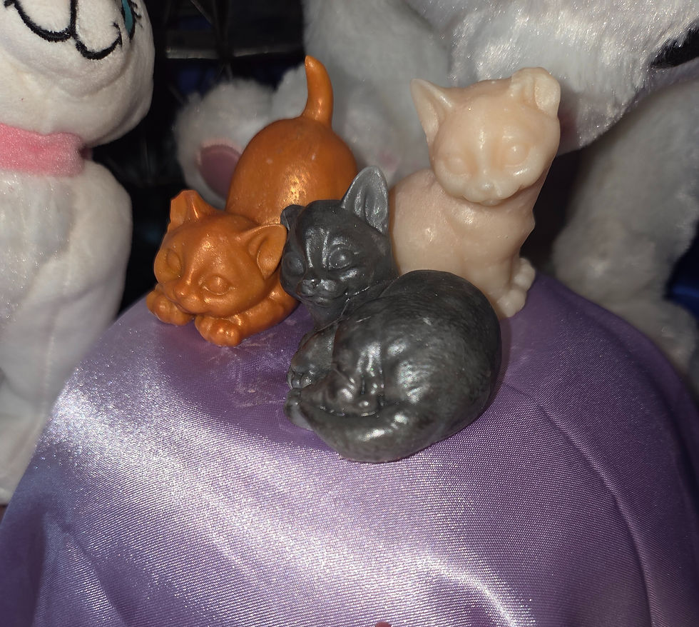 Miniature : Lot de 3 Fondants Chatons Parisiens 90 grammes