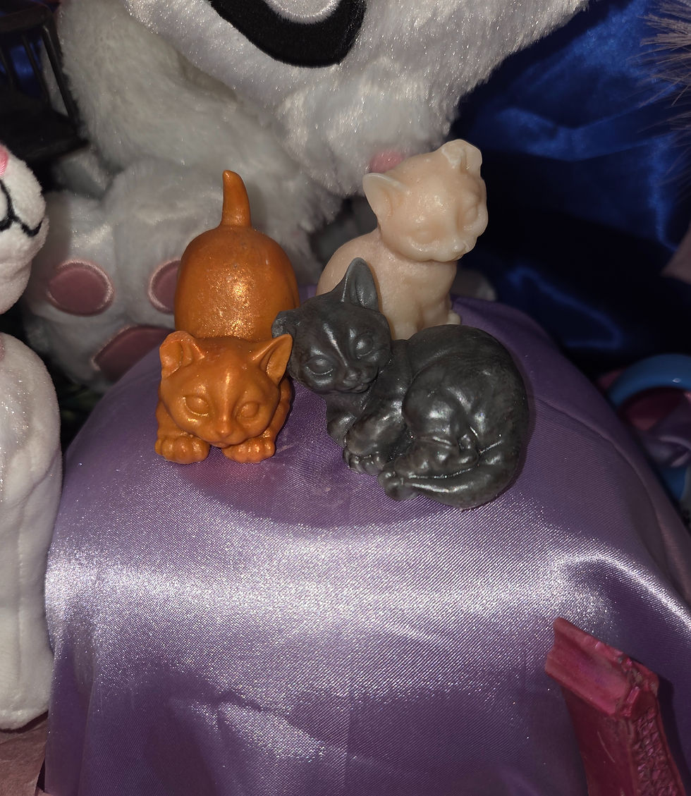 Miniature : Lot de 3 Fondants Chatons Parisiens 90 grammes