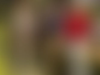 𝐀𝐧𝐧𝐨𝐧𝐜𝐞 𝐈𝐦𝐩𝐨𝐫𝐭𝐚𝐧𝐭𝐞 𝐝𝐞 𝐥’É𝐪𝐮𝐢𝐩𝐞 𝐀𝐜𝐭𝐢𝐨𝐧 𝐃𝐨𝐫𝐯𝐚𝐥