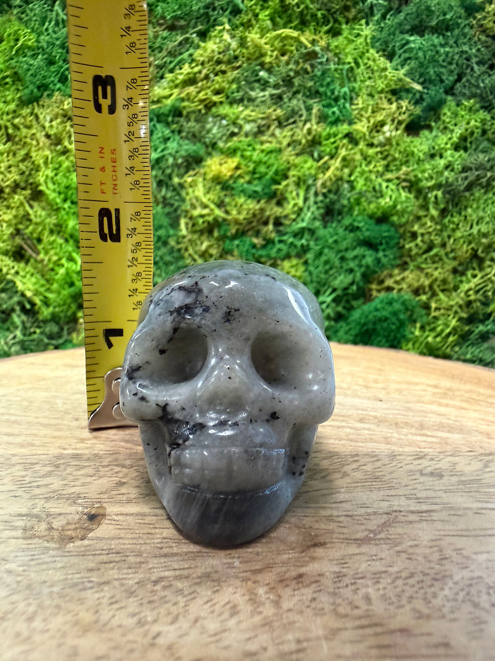 Thumbnail: Skull- Lab 3