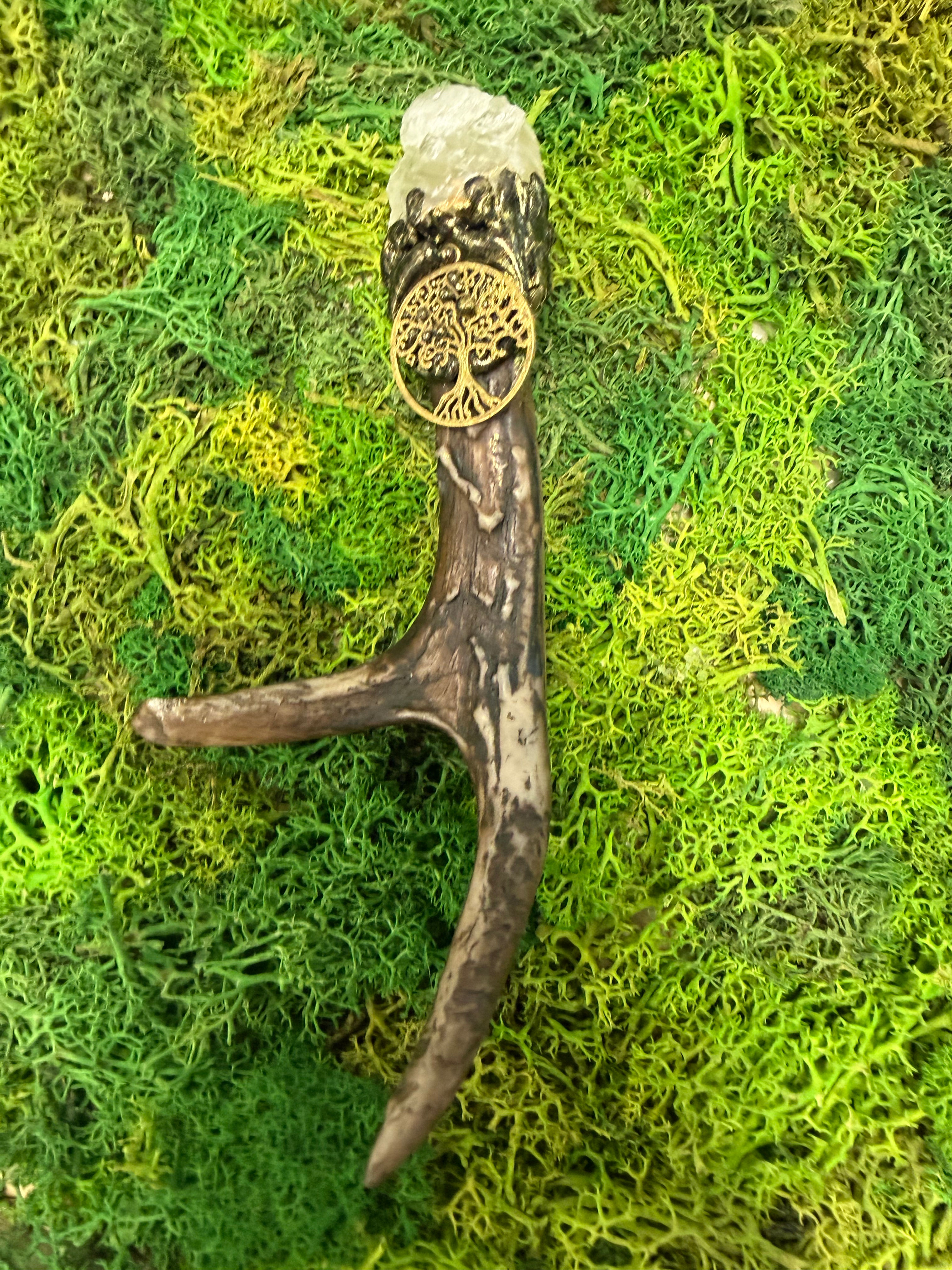 Antler- Citrine 1