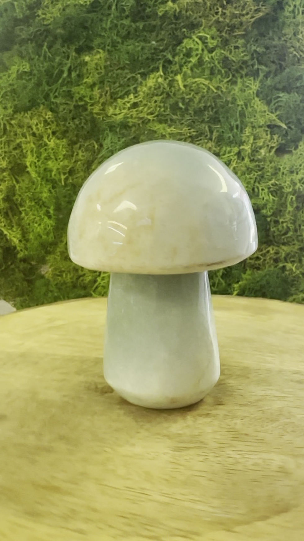 Thumbnail: Amazonite Mushroom 2