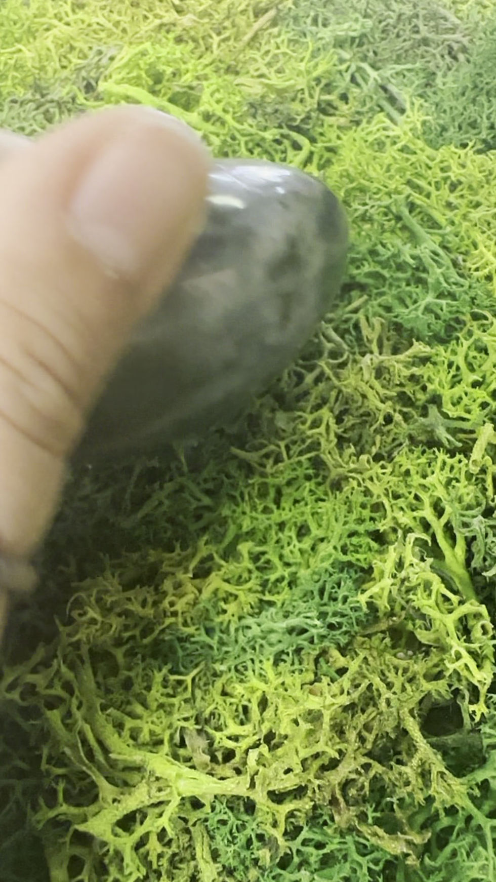 Thumbnail: Lab Palmstone 2