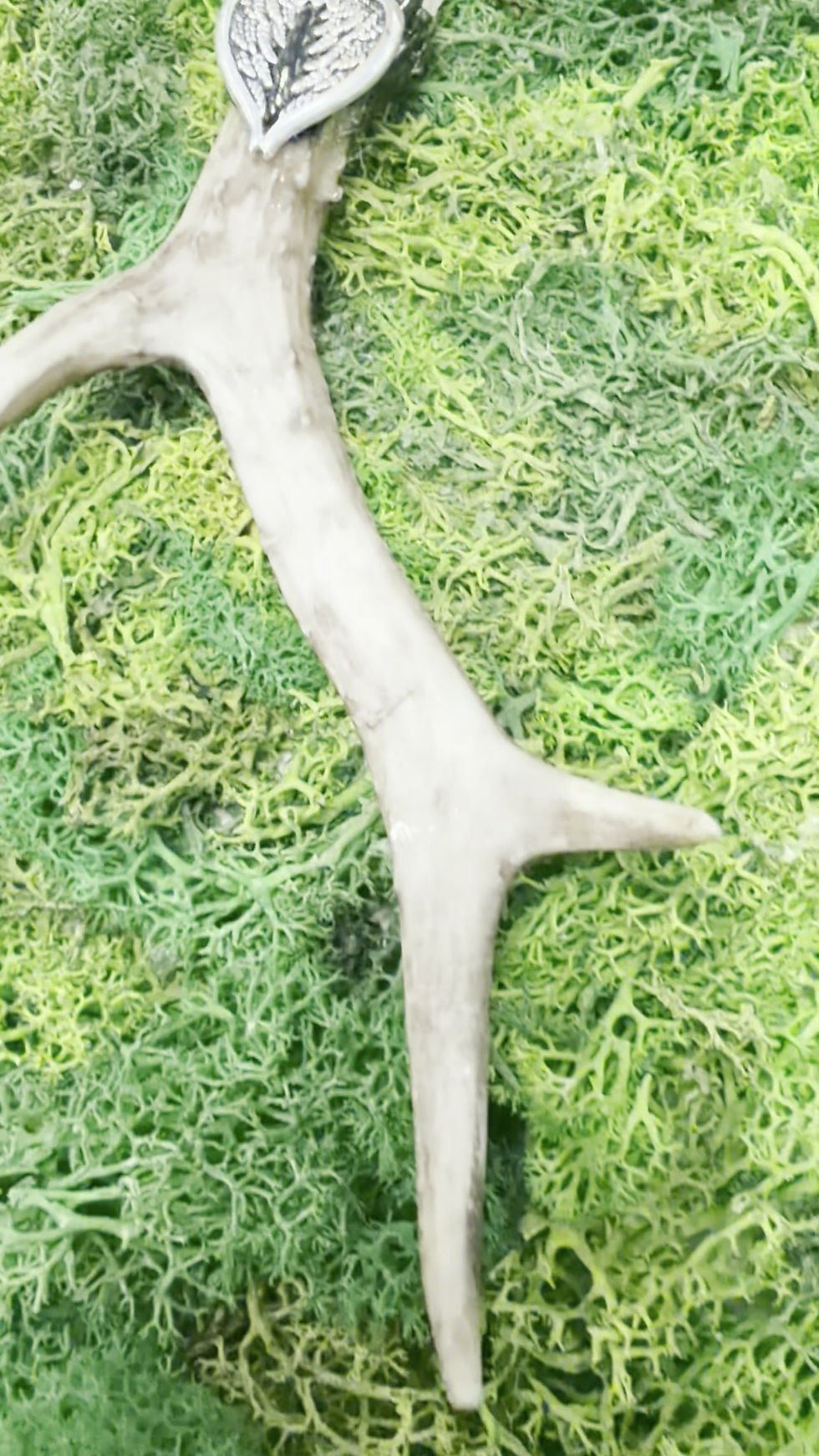 Thumbnail: Antler- Citrine 3