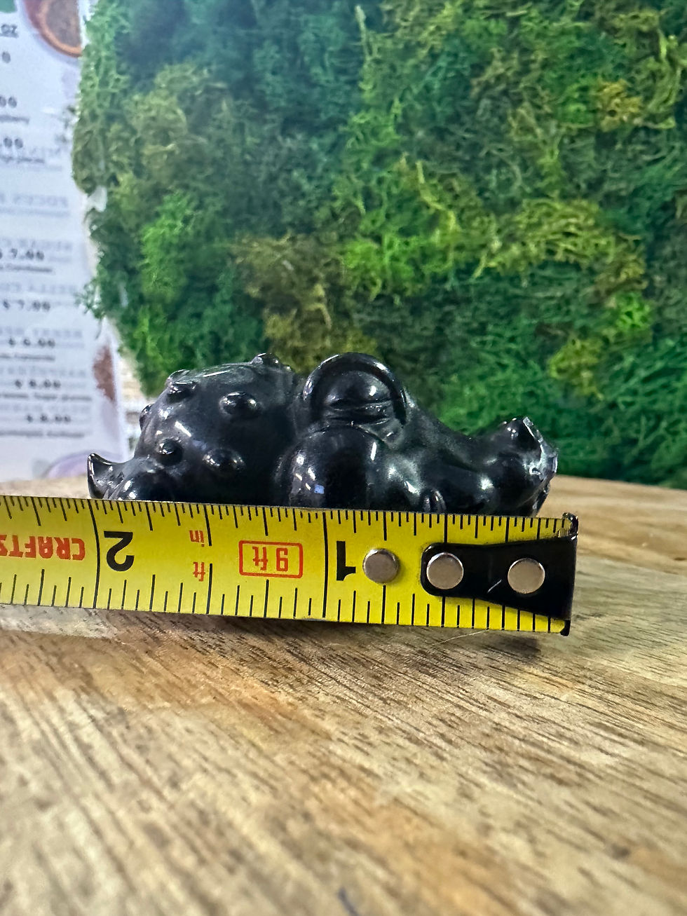 Thumbnail: Golden Obsidian Gator