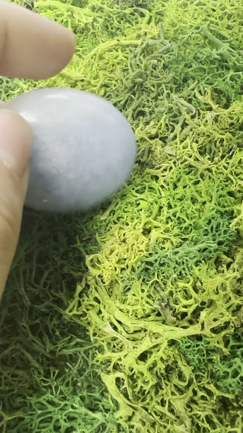 Thumbnail: Blue Calcite Palmstone 1