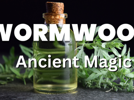 Wormwood: The Mystical Herb of Protection, Spirit Work, and Ancient Wisdom