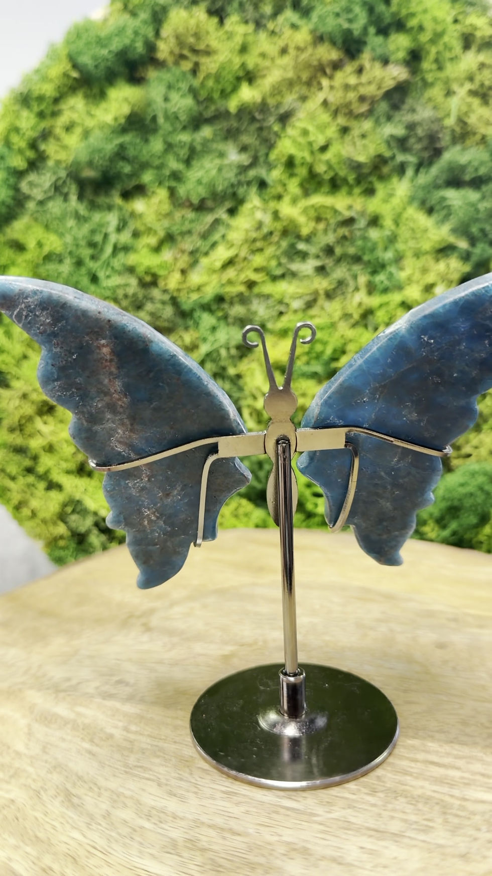 Thumbnail: Butterfly- Apatite