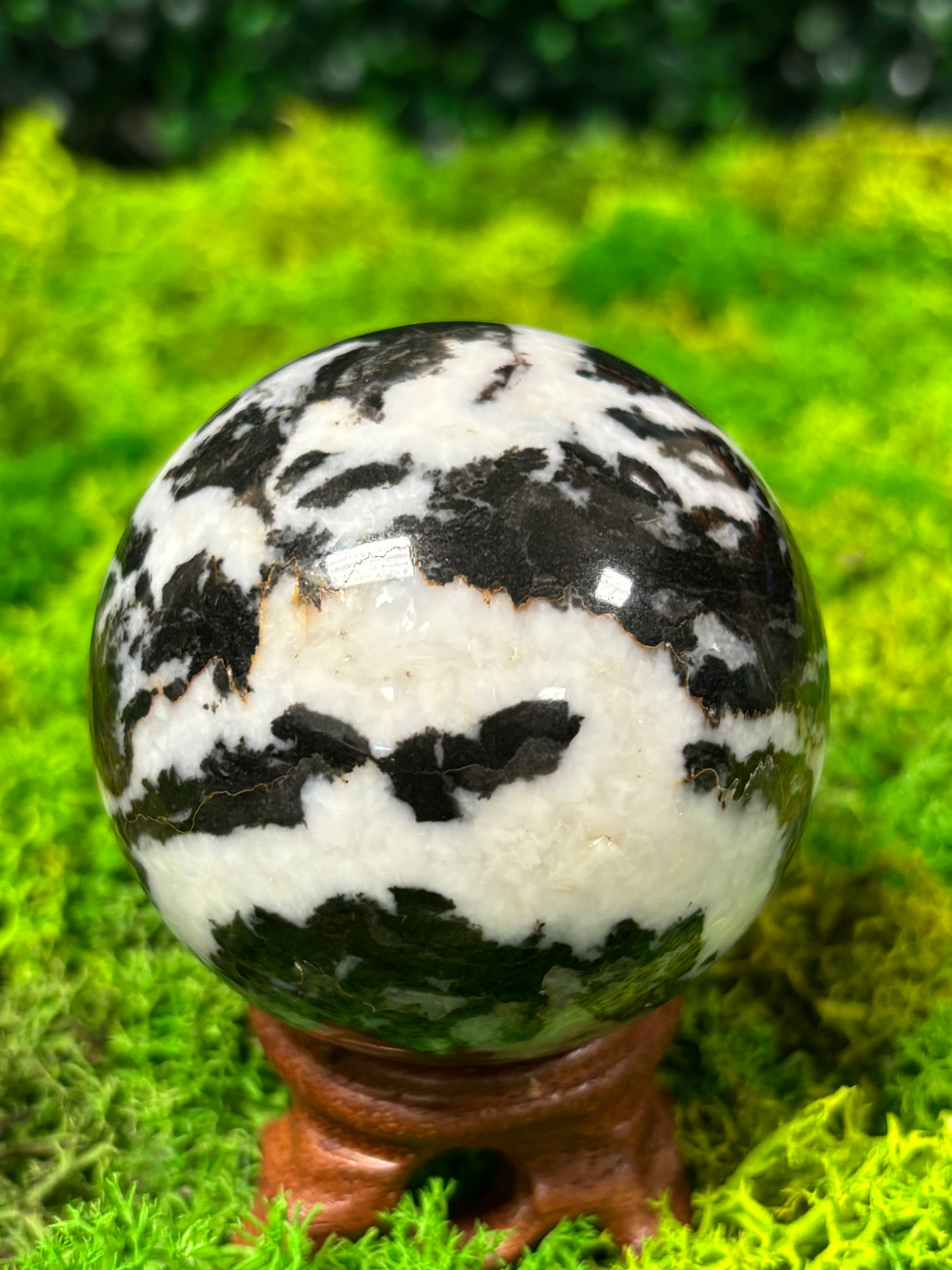 Zebra Jasper Sphere 3