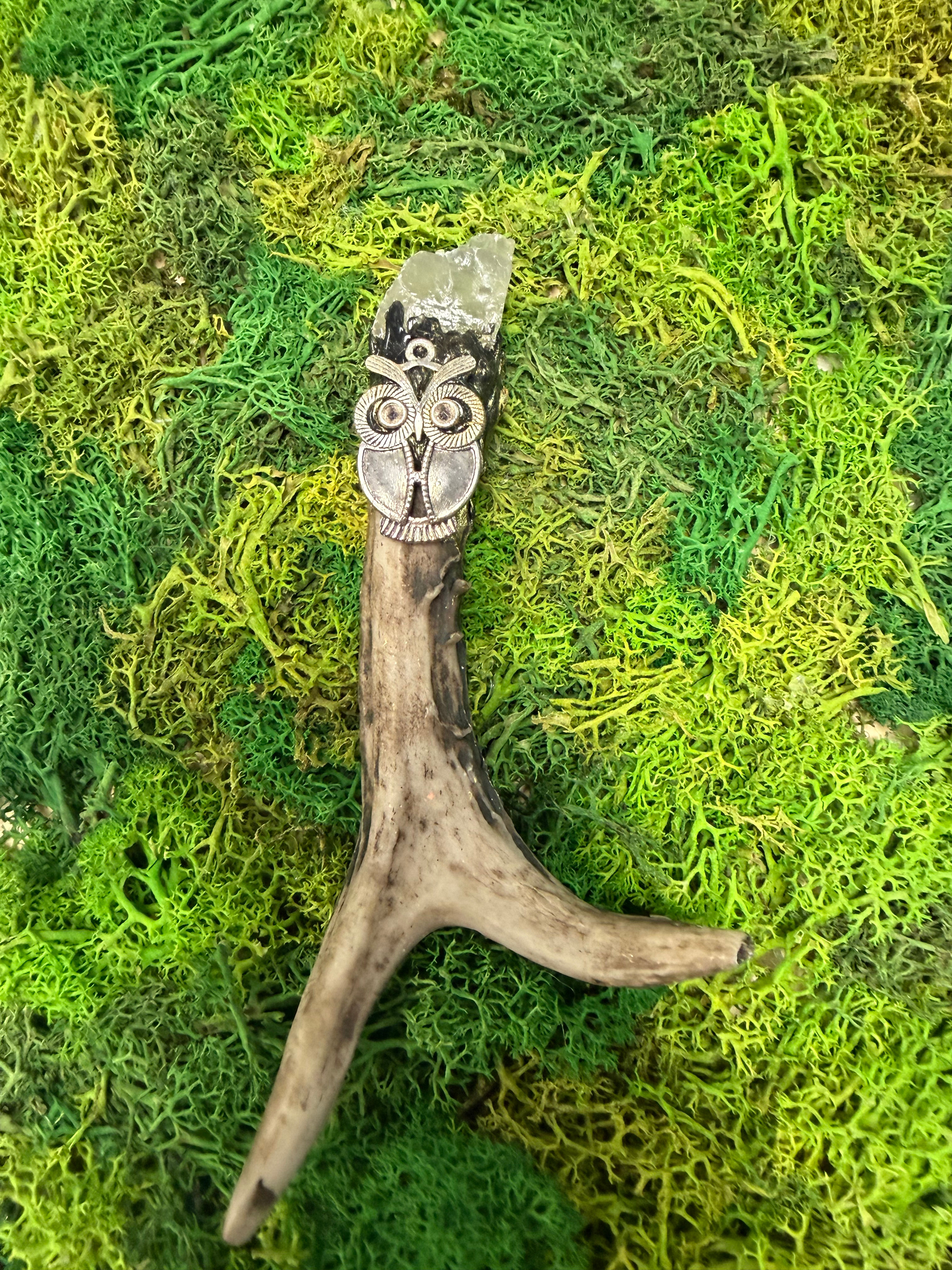 Antler- Citrine 2