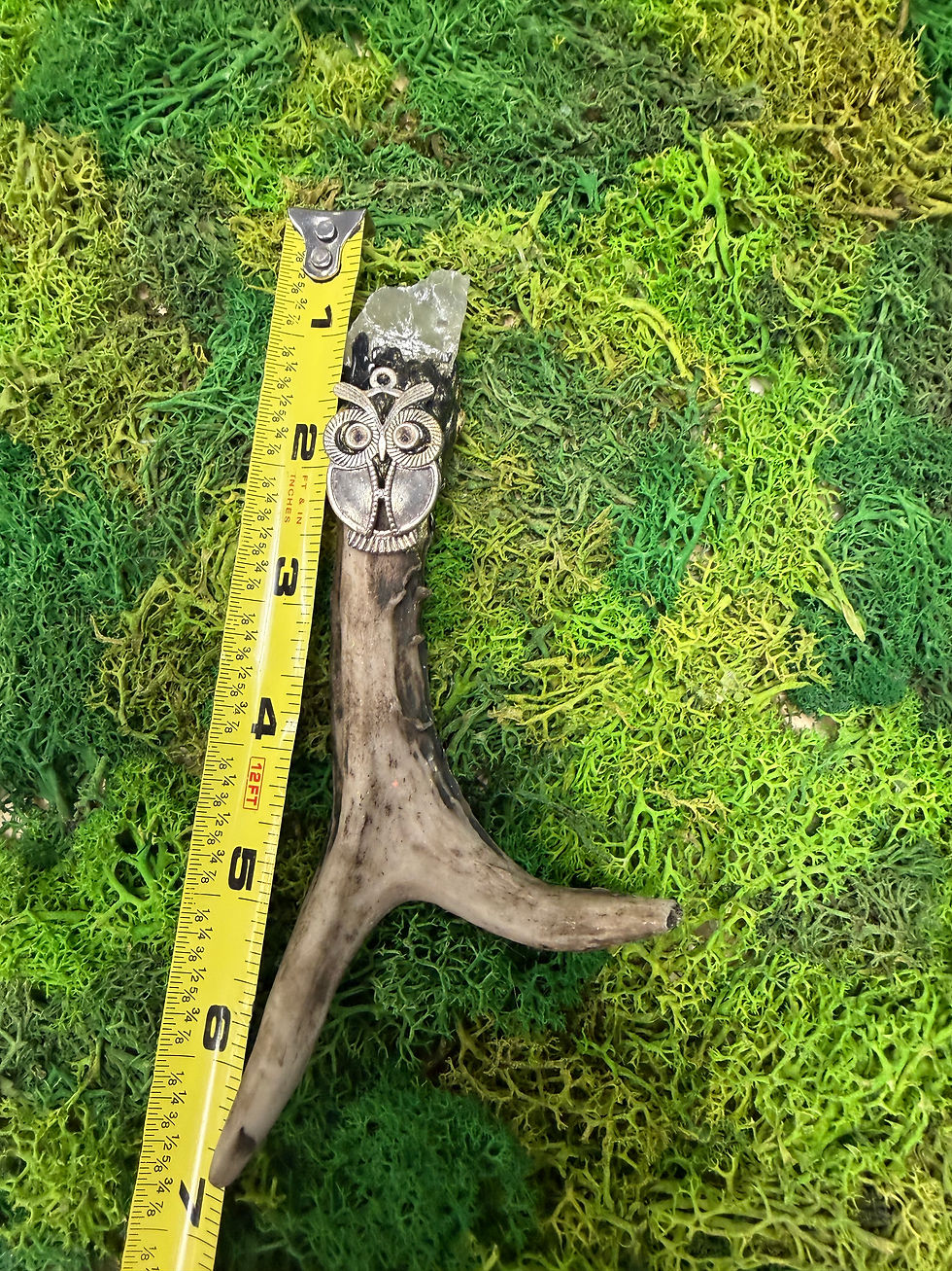 Thumbnail: Antler- Citrine 2