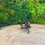 Thumbnail: Tiger Eye Snake Ring