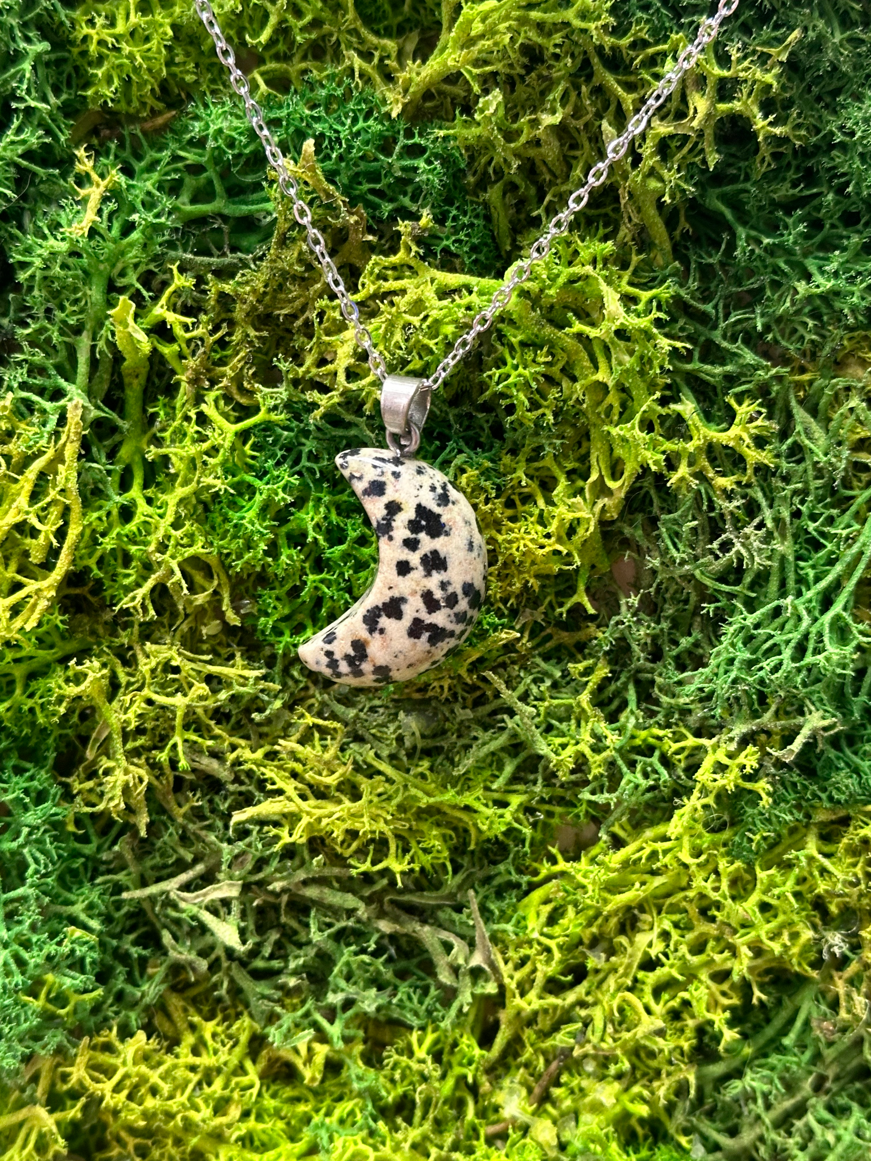 Dalmation Jasper-moon
