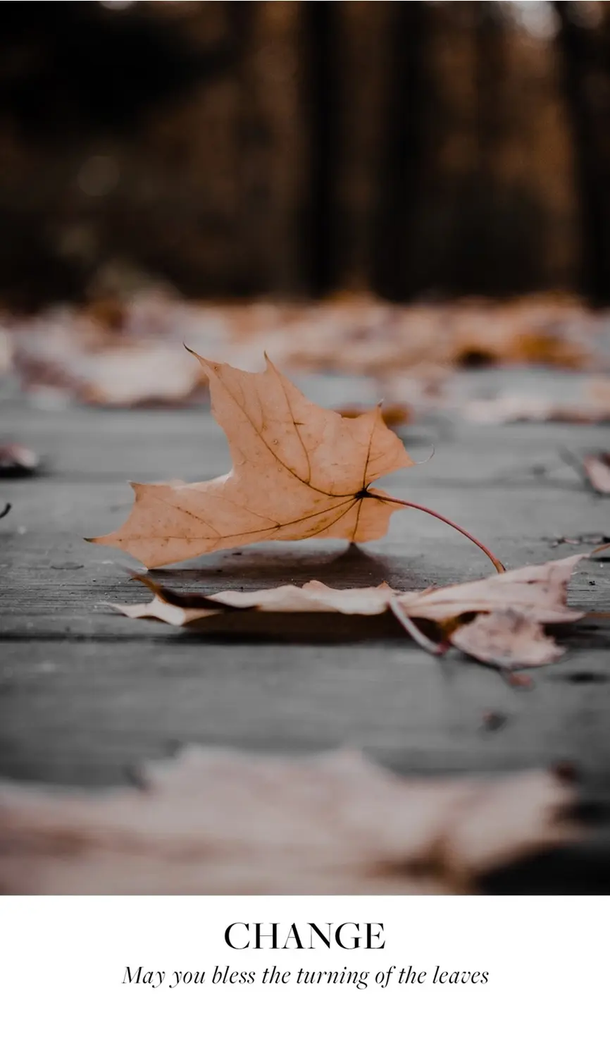 Thumbnail: Earth Blessings Oracle Cards (48 Cards and Guidebook)