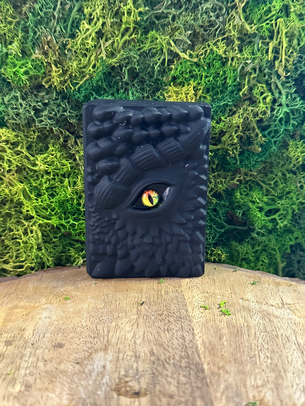 Obsidian Dragon Book 1