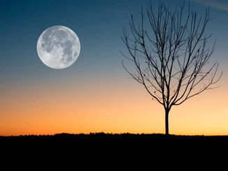 The Worm Moon and Unseen Changes