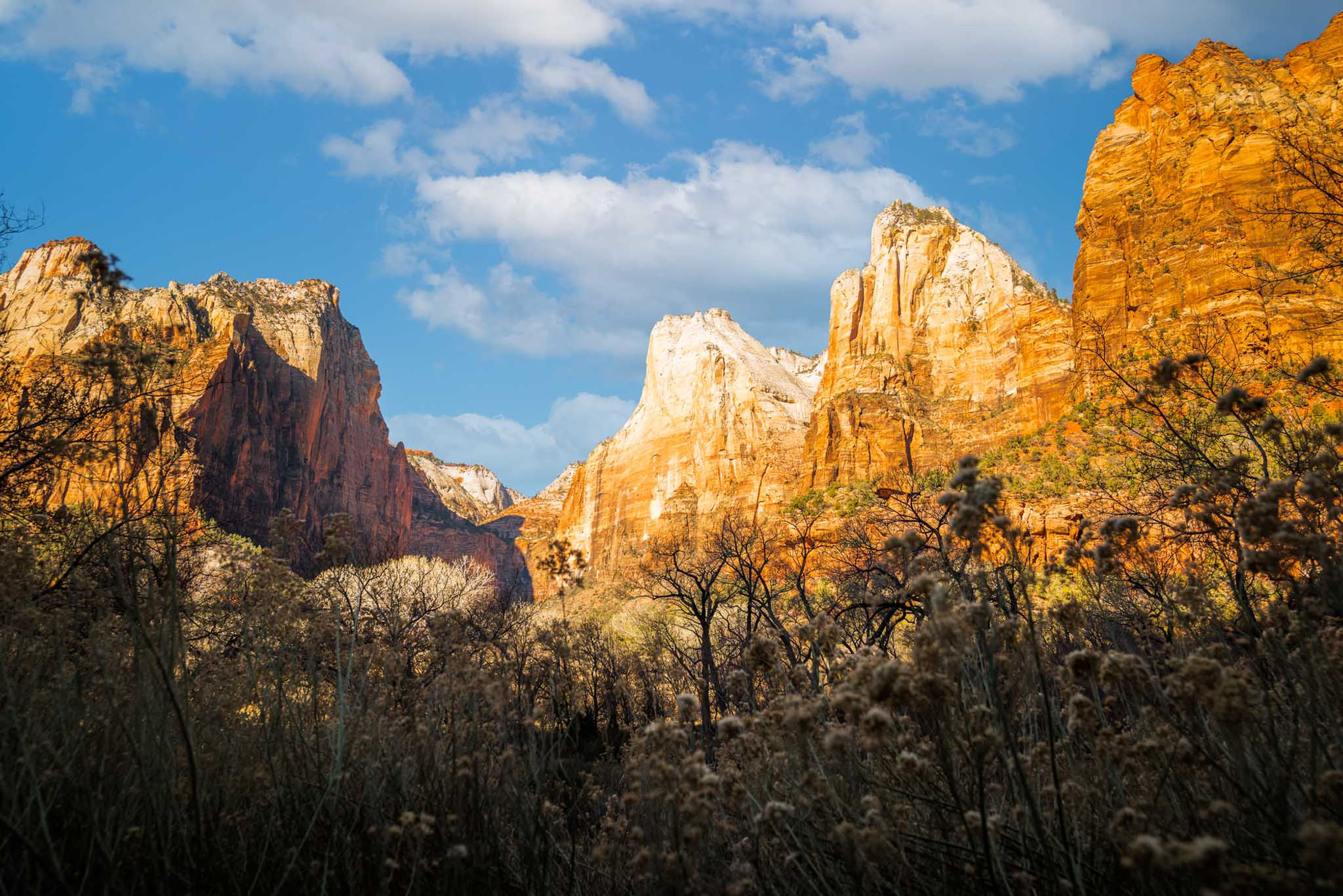 Golden Patriarchs, Zion NP