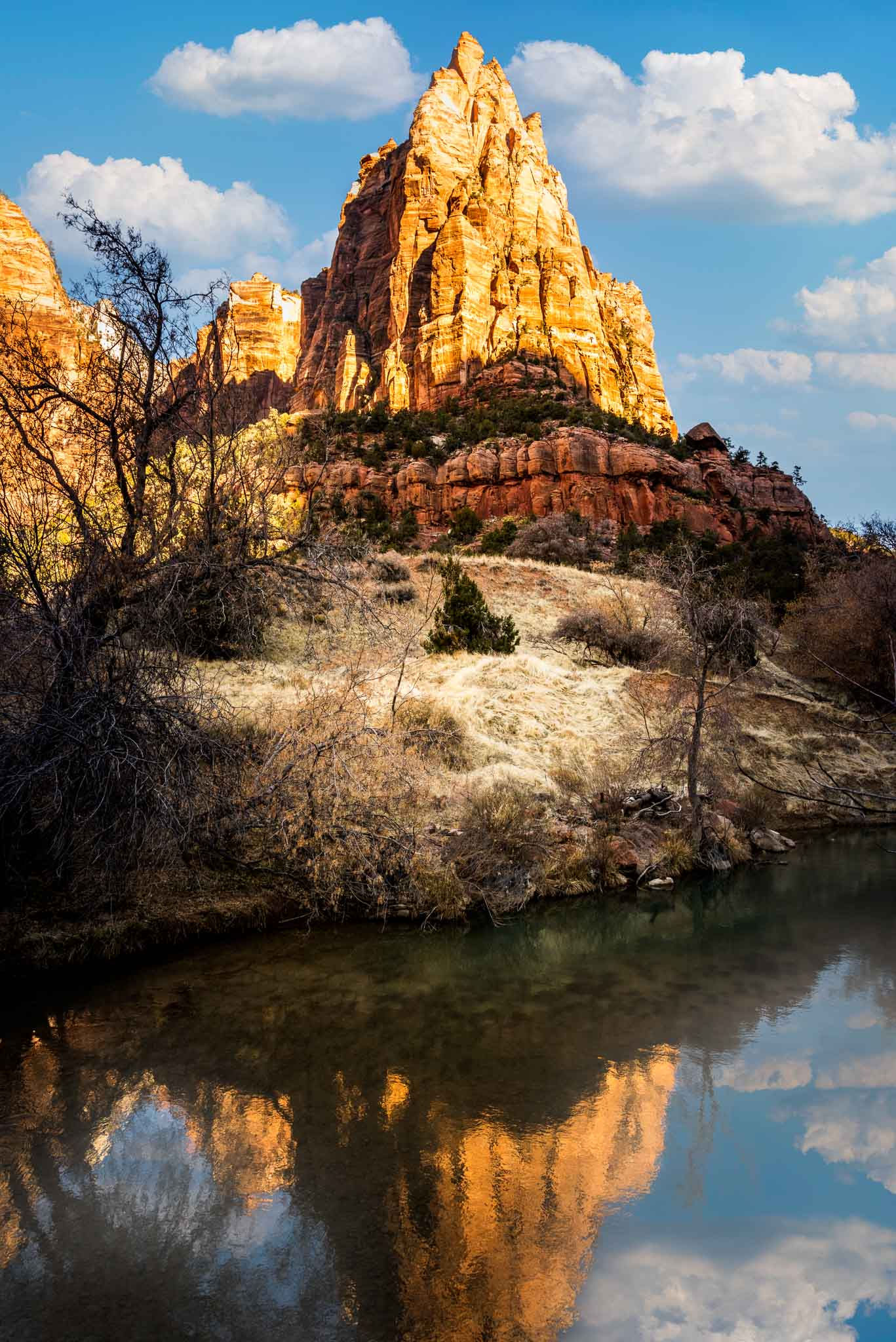 The Quiet Morning, Zion National Park