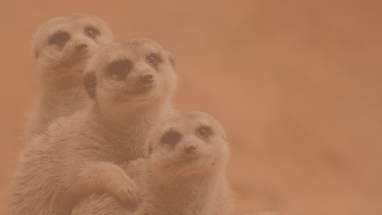 MOOC - Visuels campagne crowdfunding(1).png