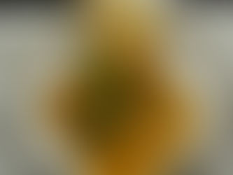 Indisk lammgryta -näringstät, antiinflammatorisk och smakrik. Paleo. (4 portioner)