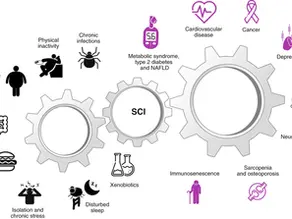 En intressant studie om åldrande och inflammation