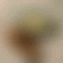 smörstekt torskrom på tallrik som serveras med majonnäs