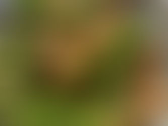 Stekt lever med lök och grönkål