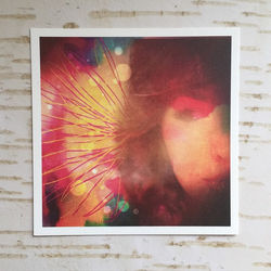One of my latest 5x5 matte prints. Beauty of Karma
