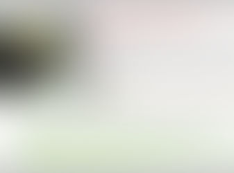 Case study 2 - Riimex for the automotive industry