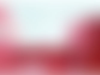 DATABASE - Executive Edition in the world