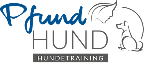 logo1.png