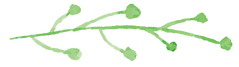 Painted Branch