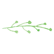 Painted Branch