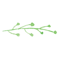Painted Branch