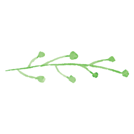 Painted Branch