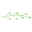 Painted Branch