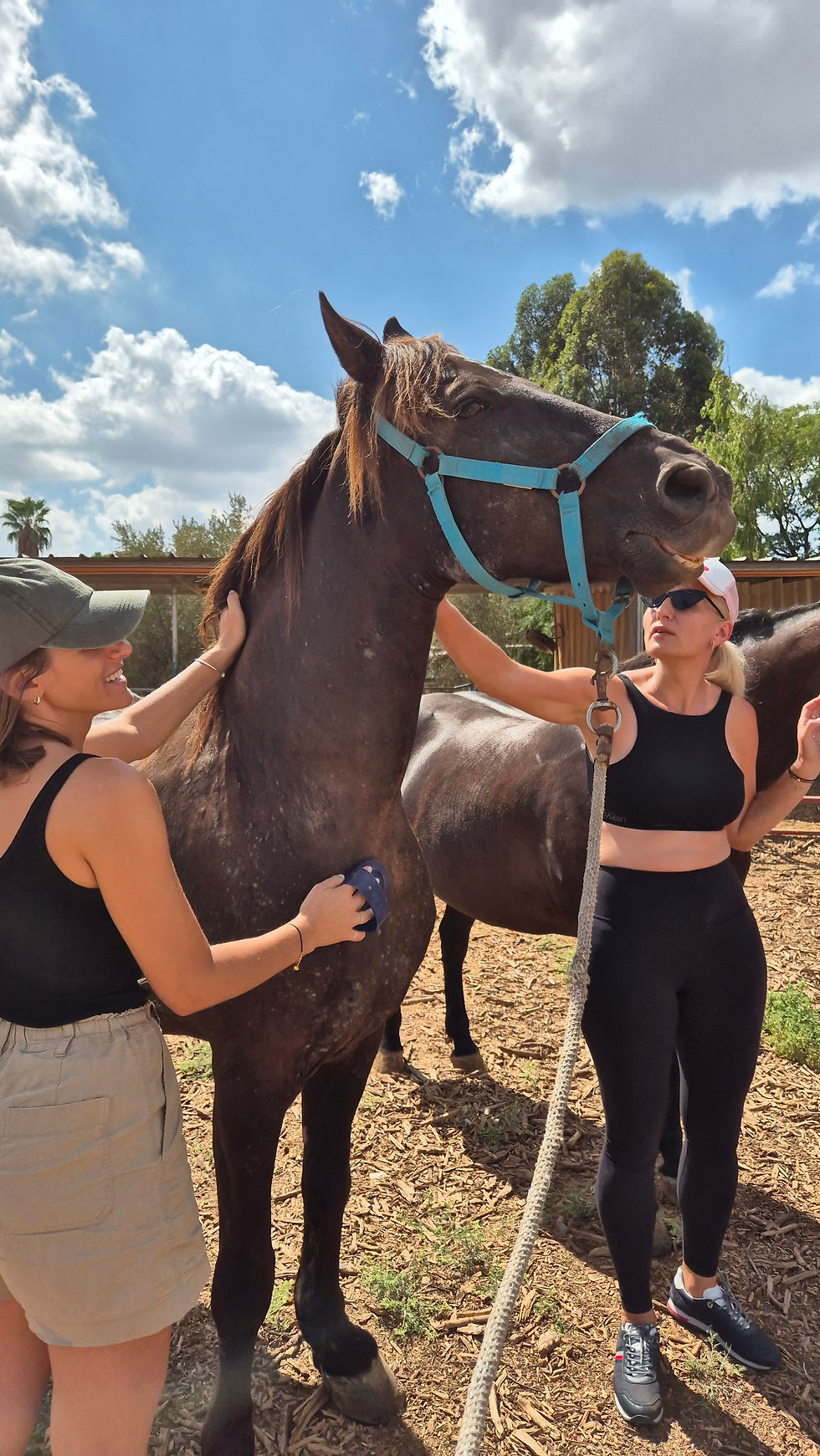 נשים וסוסים