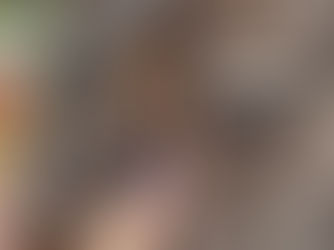 קורס מדריכי רכיבה טיפולית