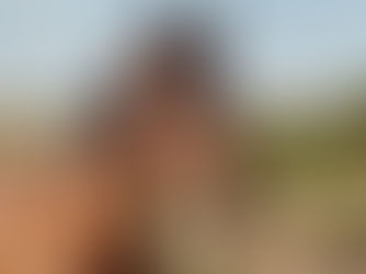 אמנות אי-העשייה בעבודה עם סוסים