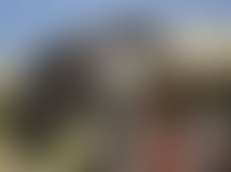 גיבורים על ארבע: מהשוחות של העולם אל שביל כינרת – מהדהוד גבורה להיום