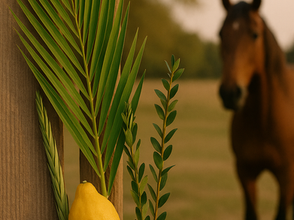 ארבעת המינים, סוסים ותקווה