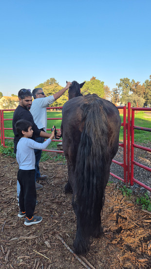 ילדים וסוסים
