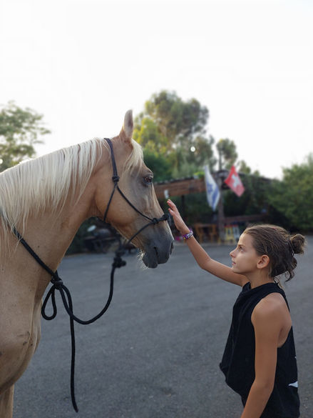 ילדים עם סוסים